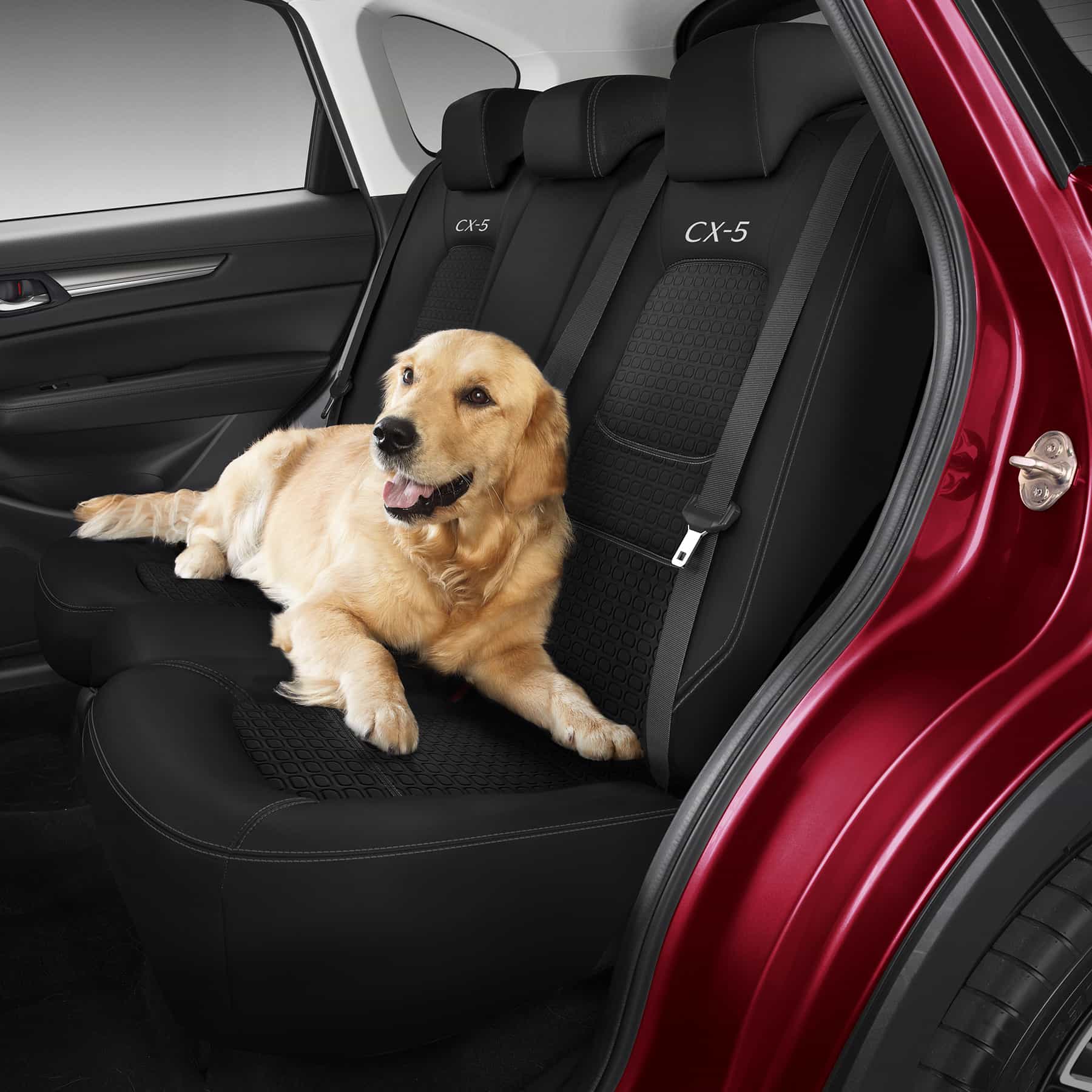 Mazda 3 dog on sale seat cover