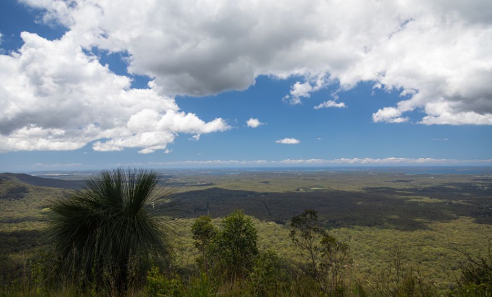 Watagans National Park 960 x 580 px.jpg